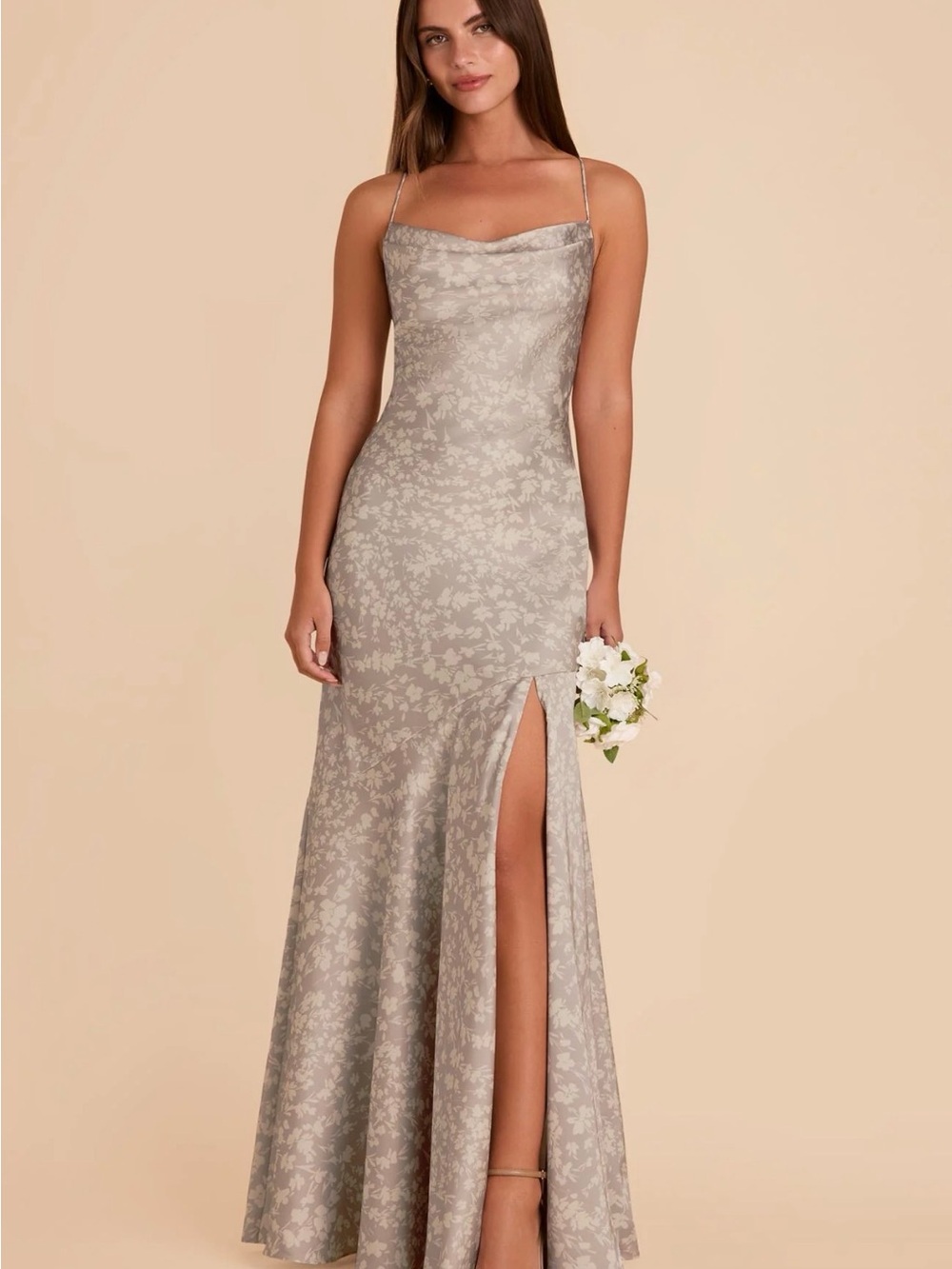 Birdy Grey Olivia Dress in Almond Dreamy Floral